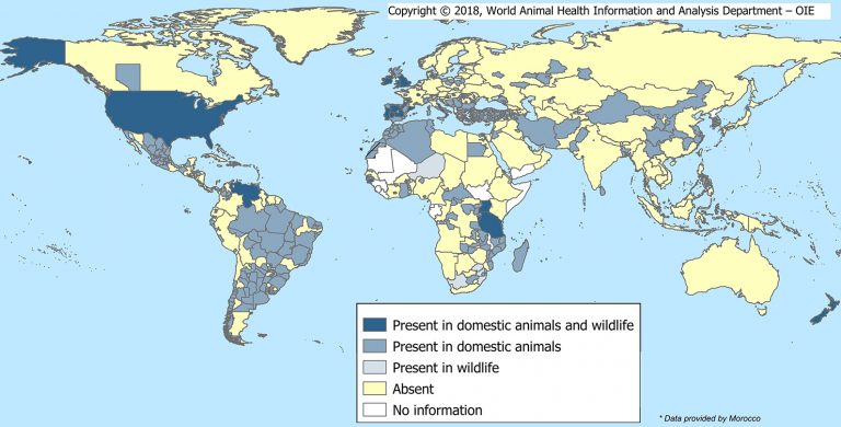 Bovine Tuberculosis: Global Distribution And Implementation Of ...