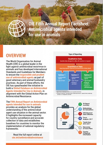 Global Report Indicates Decreasing Trend In Antimicrobials Intended For 