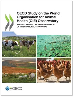 OECD Study