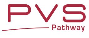 logo pvs