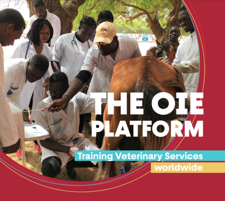 training-platform-brochure