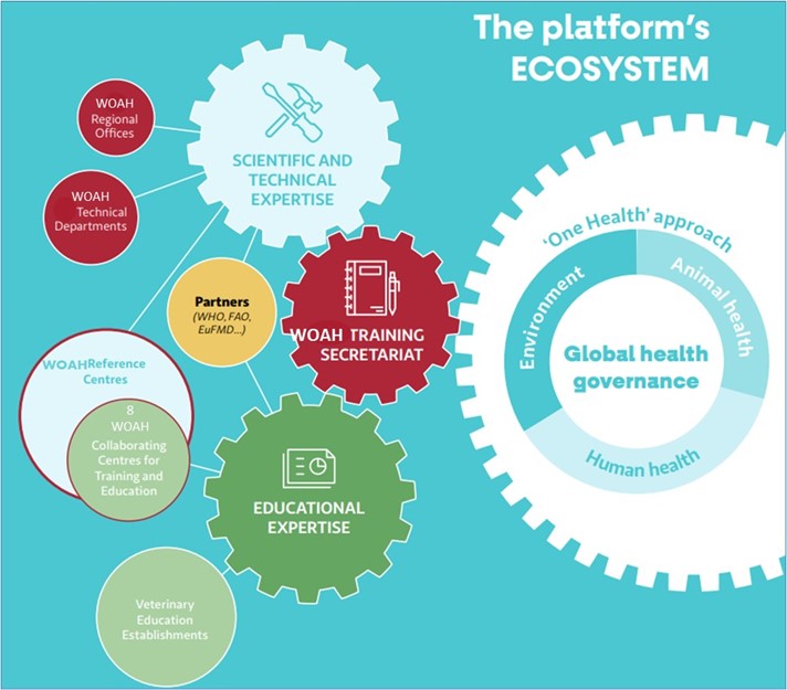 the platform ecosystem