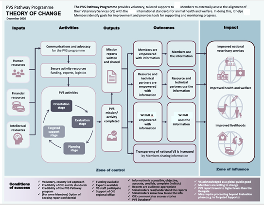PVIS Theory of Change